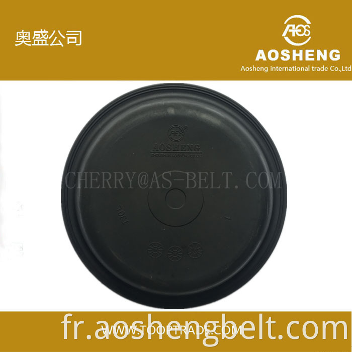 Diaphragme Aosheng T30L pour camion Renault fabriqué en Chine